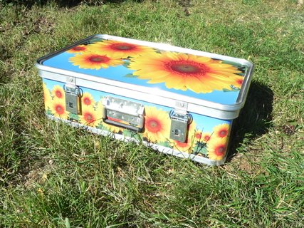 Picnic suitcase